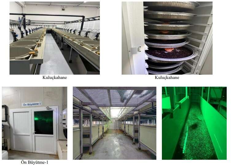 Milas’ta ADEC Akvaryum’dan Kapasite Artırımı Projesi 5